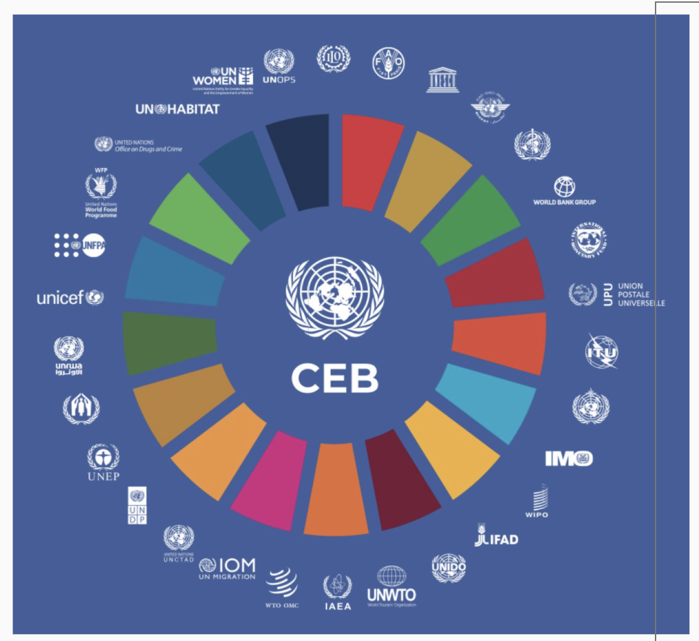 United Nations System Chief Executives Board and UN organisations